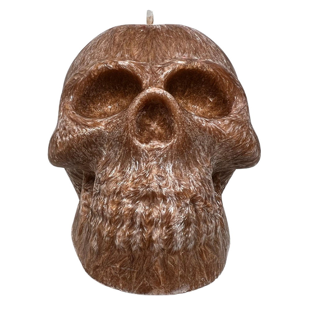 Skull Candle