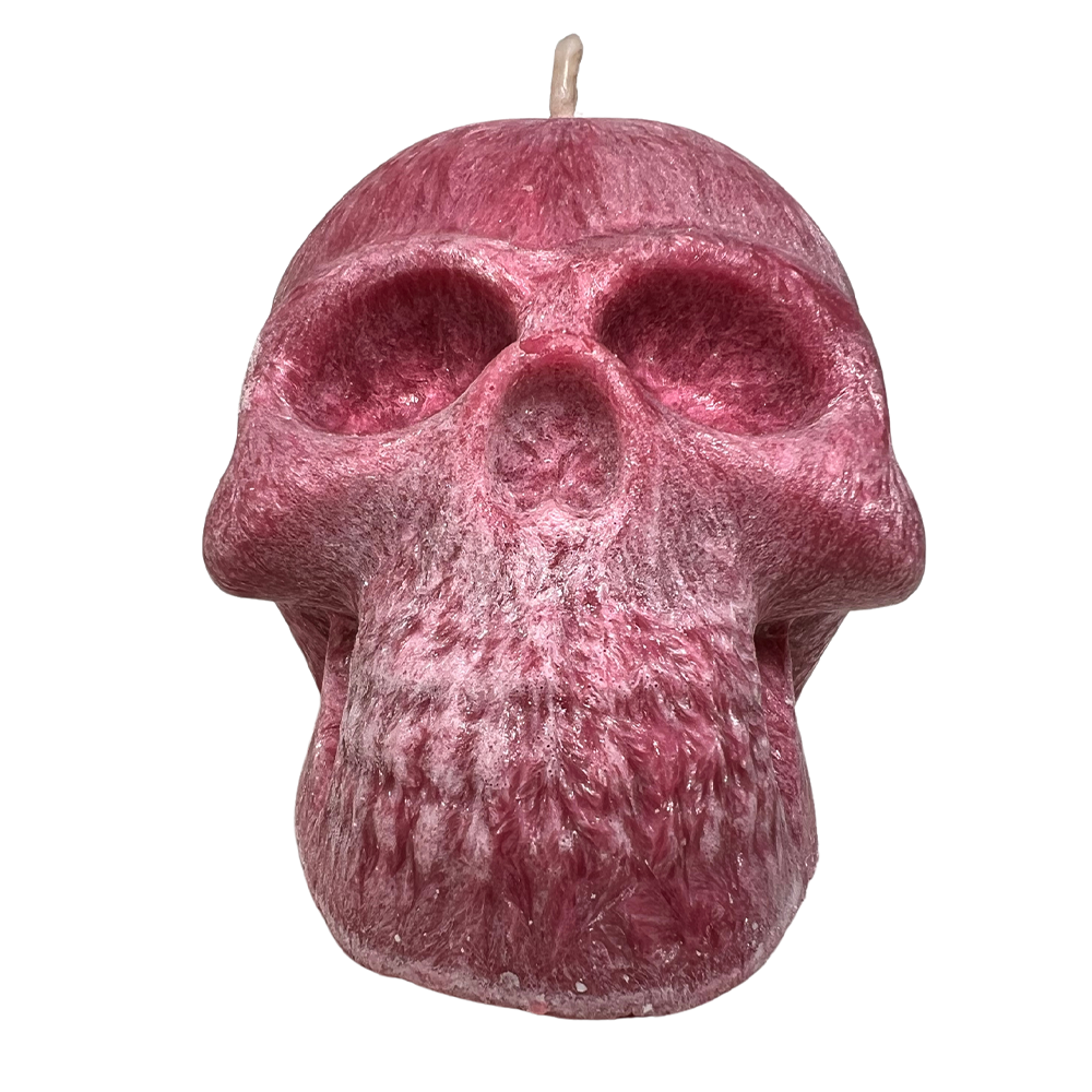 Skull Candle