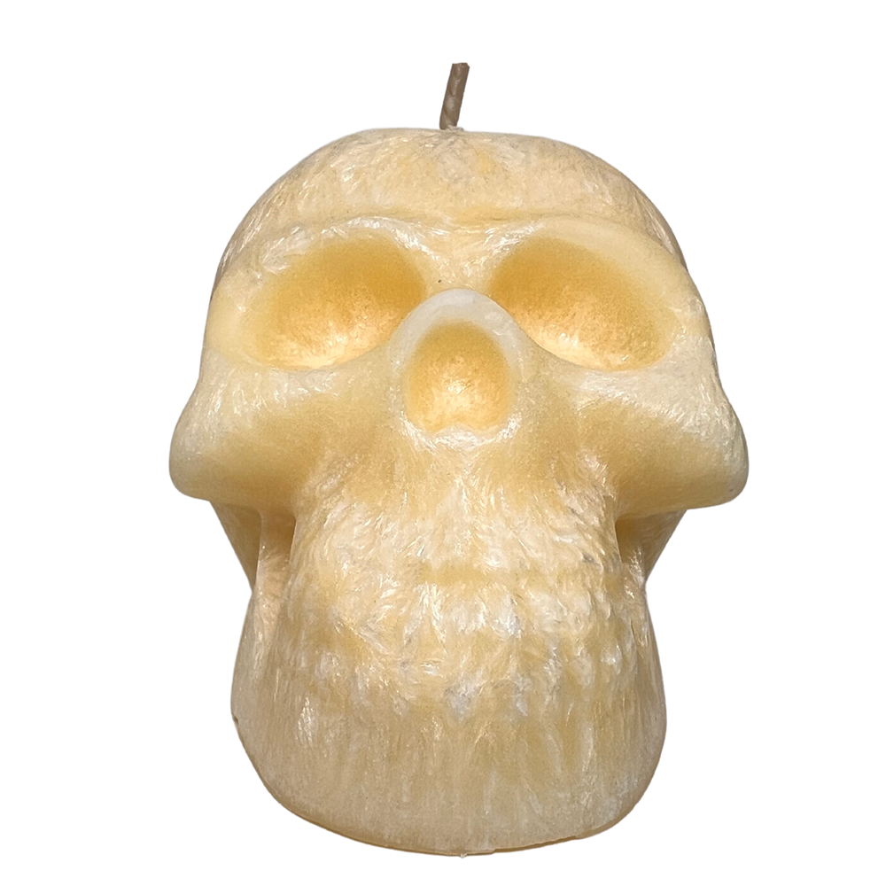 Skull Candle